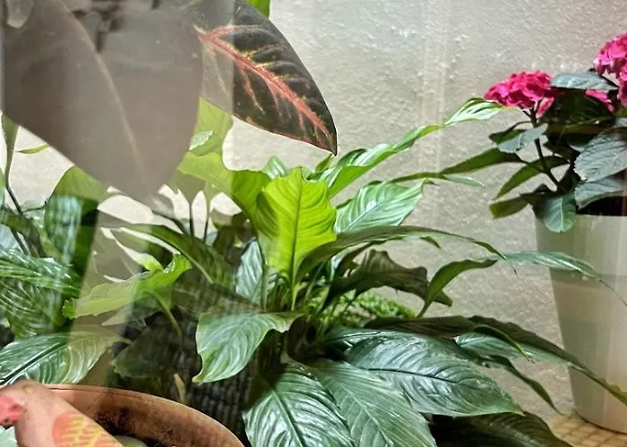 Apartamento Aguamarina